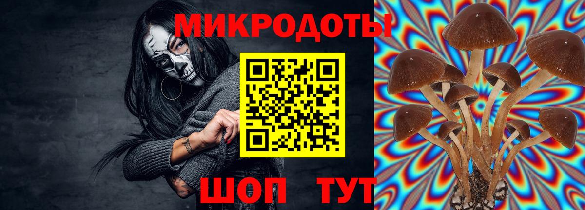 Галлюциногенные грибы GOLDEN TEACHER Соликамск