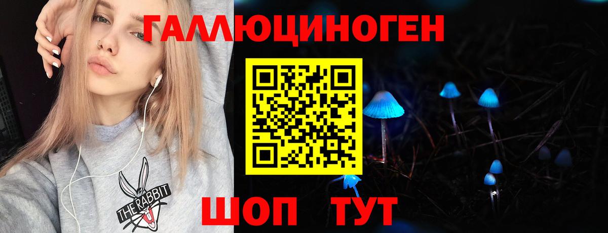 Соликамск  Псилоцибиновые грибы Cubensis  Вход с VPN 